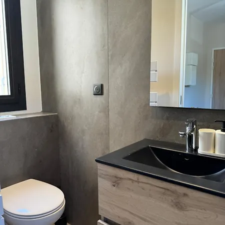 Agave Au Lavandou 公寓 勒拉旺杜