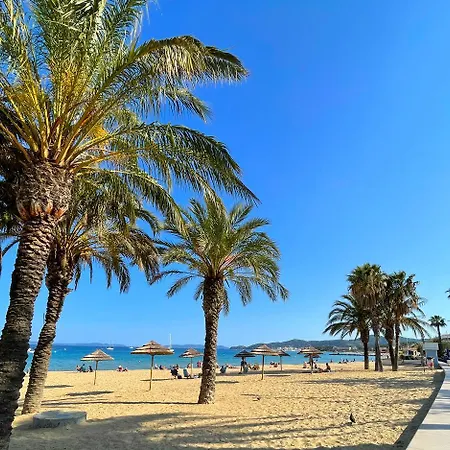 Agave Au Lavandou 勒拉旺杜