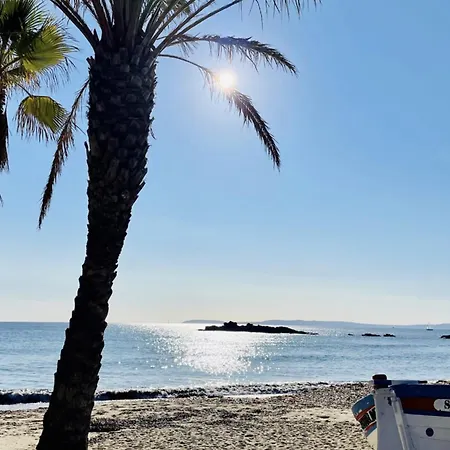 Agave Au Lavandou * Le Lavandou