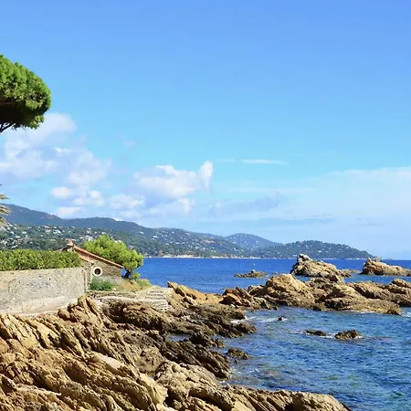 Agave Au Lavandou *
