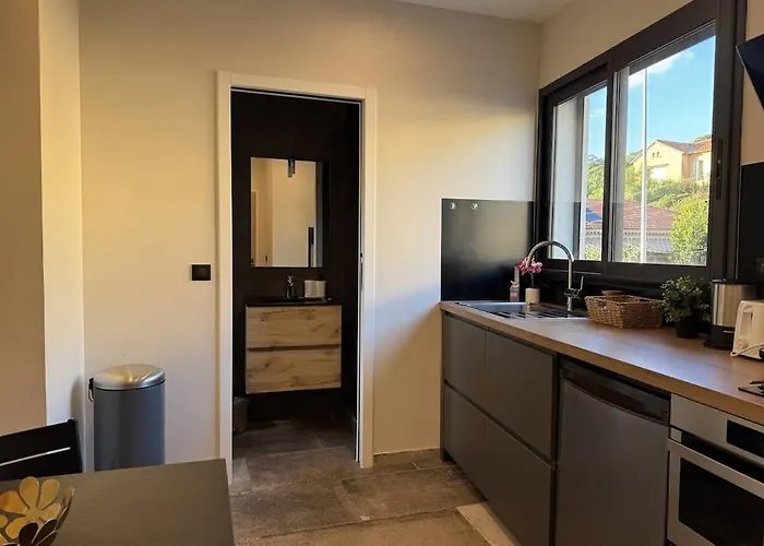 Agave Au Lavandou 르 라방두